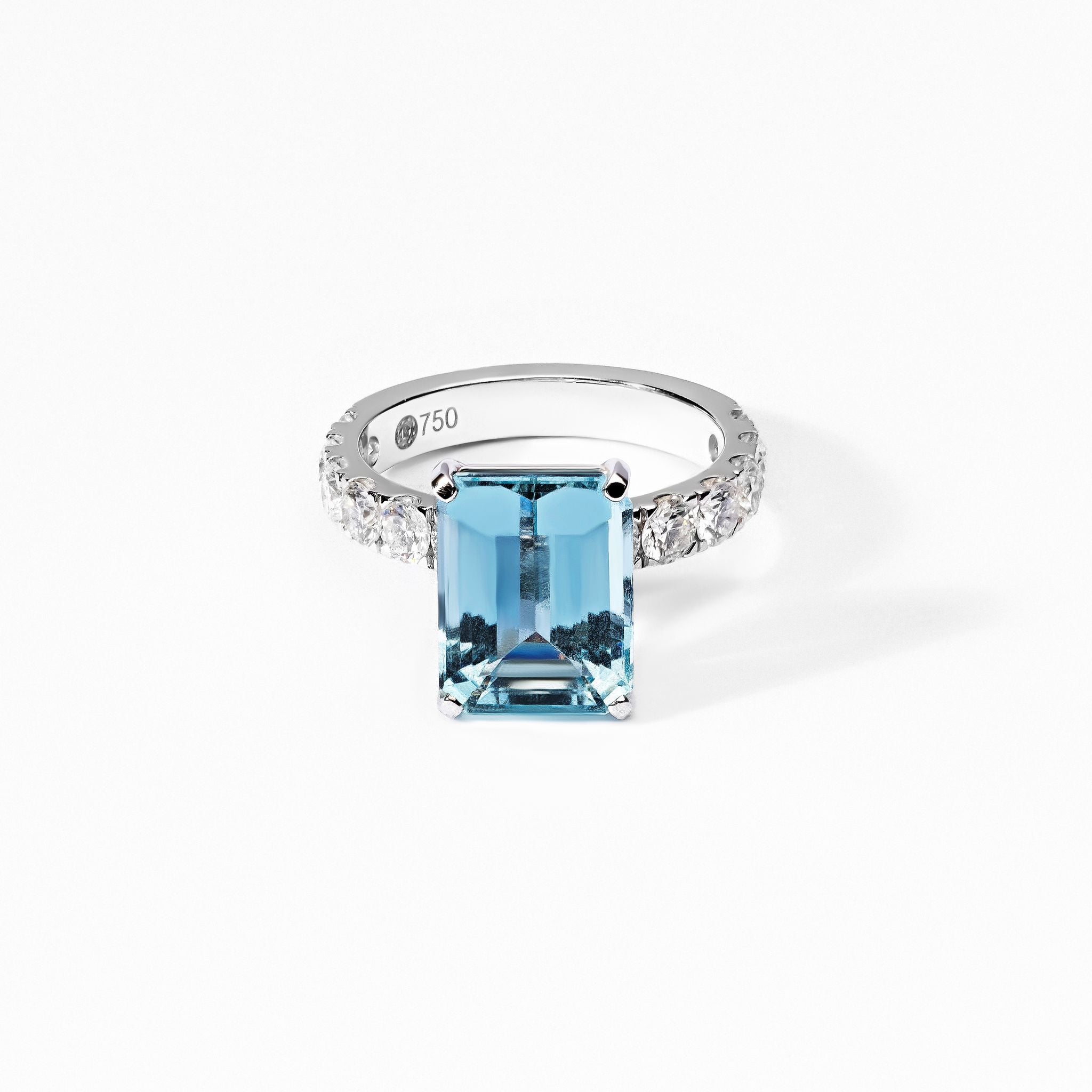 Bleu de Léman
