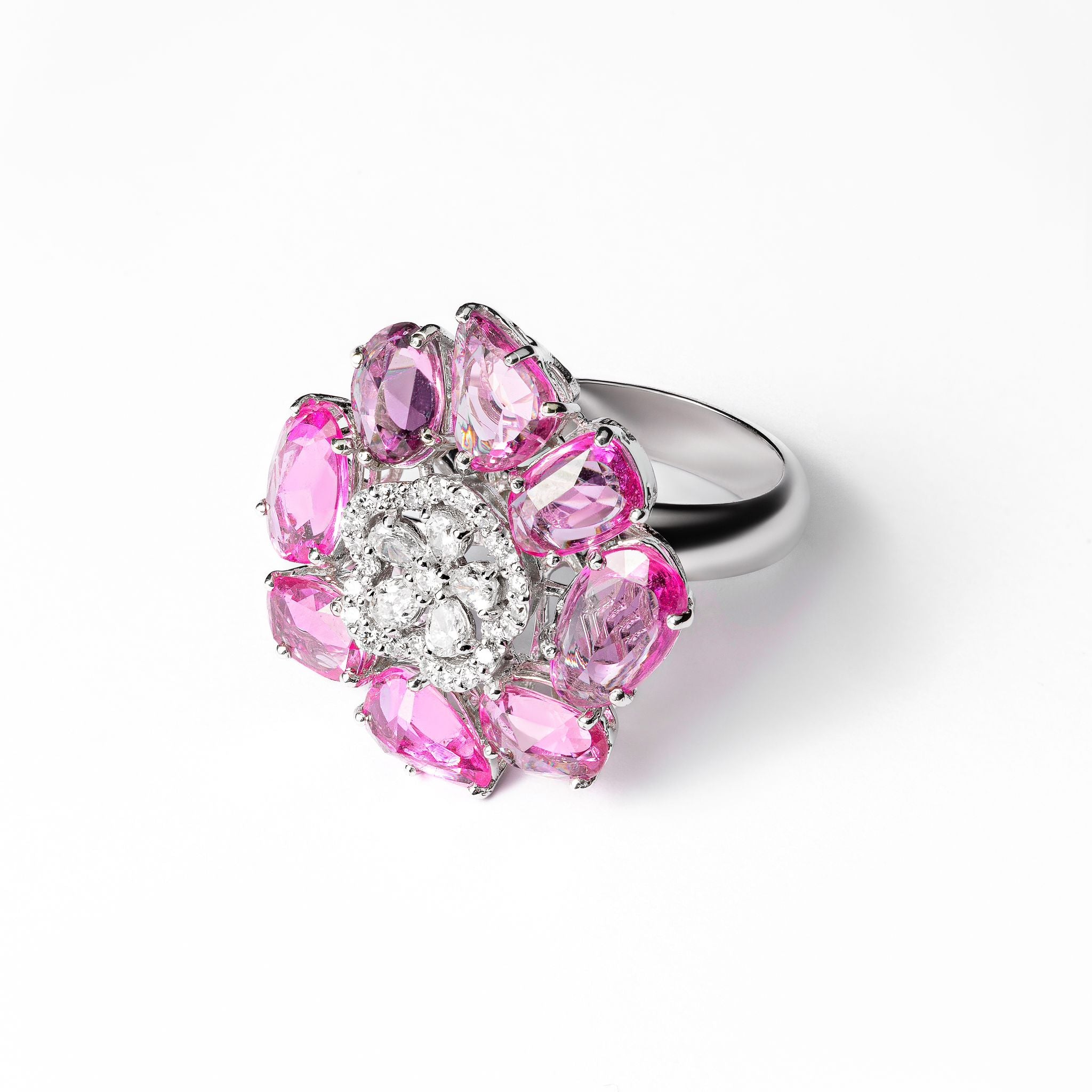 Cherry Blossom